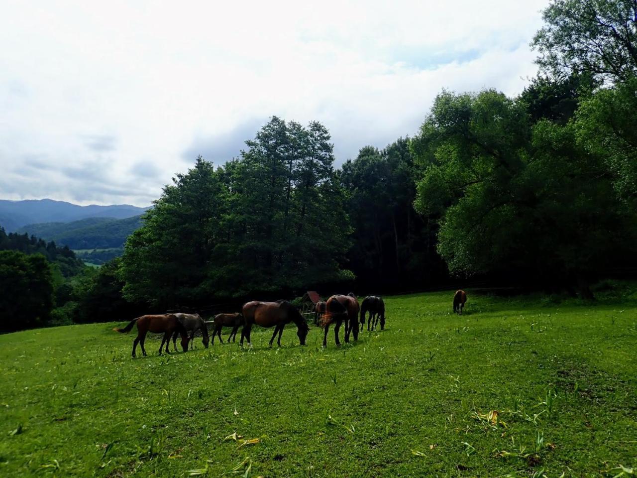 Zrebcin Mlyncok Apartment Slovenska Lupca Luaran gambar